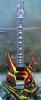 Chitarra Ibanez Stile Steve Vai by  Zen Airbrus